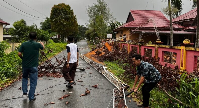 foto slider headline