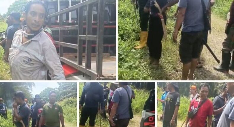 foto slider headline